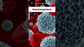 Haematopoiesis [upl. by Luba]