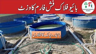 Visit of Biofloc fish farm in Pakistan part2  biggest Biofloc Setup with hydroponic farming [upl. by Darooge716]