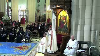 Alocución del cardenal José Cobo en la Vigilia de oración por la Paz desde la Almudena 7102024 [upl. by Edyth628]