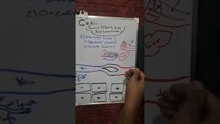 Capillary net filtration  Hydrostatic pressure and oncotic pressure  شرح مادة الفيسيولوجي بالعربي [upl. by Cynthla275]