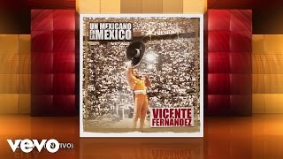 Vicente Fernández  Ella Cover Audio [upl. by Lunneta]