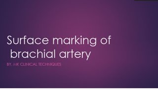 brachial artery surface markingsurface anatomy of brachial artery [upl. by Hallett]