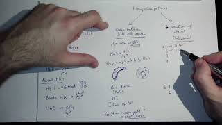 Hemoglobinopathies by Coiled in ENGLISH [upl. by Ricoriki]