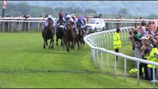 Camelot  Epsom Derby Gr1 [upl. by Armilla]