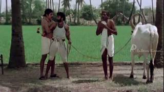 Sakalakala Vallavan  Tamil Movie  Scenes  Clips  Comedy  Kamala Hassan Fight Scene [upl. by Tripp]