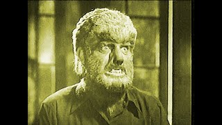 WOLFMAN  Stephen Sommers on Universal Classic Monsters [upl. by Kamin154]