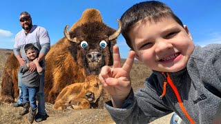 Caleb GOES on OUTDOOR ADVENTURE w Mom DAD amp Aubrey We find BUFFALO Eat Ice Cream amp Play outside [upl. by Aicenat665]