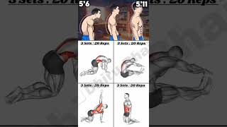 Back workout at home backmuscles backexercise shortvideo [upl. by Ermentrude89]