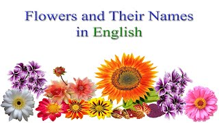 English Vocabulary  Flowers and their names in English  All Flowers names Vocabulary with Images [upl. by Rosemari108]