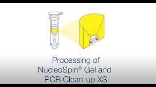 Processing of NucleoSpin Gel and PCR Cleanup XS [upl. by Lemieux]