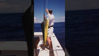 Hot Spot Sailfish in Quepos Costa Rica snapshot shorts costarica [upl. by Leivad404]