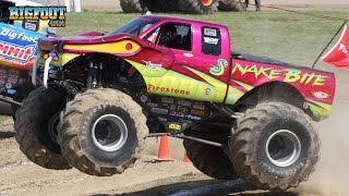 Snake Bite® Monster Truck  Various Freestyles [upl. by Masterson]