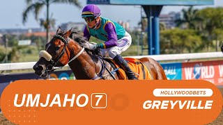 20240918 isiZulu Hollywoodbets Greyville Race 7 won by GIAMBATTISTA [upl. by Ainatit]