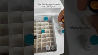 Um dia de experimentos de um mestrando no Instituto de Física da USP study viralvideo estudos [upl. by Orsini]