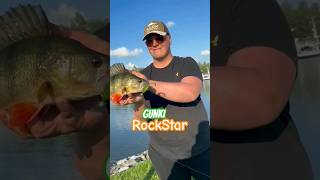 GUNKI POWER gunki illex fishing catchandrelease happy [upl. by Zetrok819]