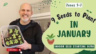 9 Seeds You Can Plant Indoors in January [upl. by Ainet]