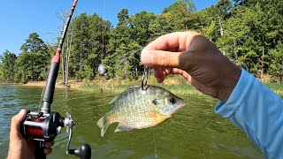 Catfishing for Money  Kerr Lake North Carolina [upl. by Adlev]