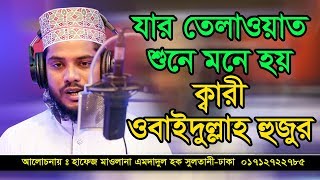 Qari Emdadul Hok Soltani ক্বারী এমদাদুল হক সুলতানী [upl. by Ivens]