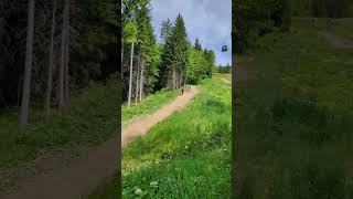 Schladming delivers mtb mountainbike downhill [upl. by Mureil811]