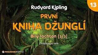 Rudyard Kipling První kniha džunglí – 13 Bílý lachtan 33 [upl. by Nnasus926]