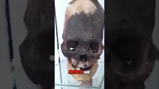 Are Paracas Skulls Proof of Ancient Alien Life [upl. by Acnoib691]