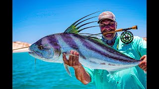 El Gallo Fly Fishing Lodge Medium Roosterfish [upl. by Allicserp67]