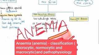 Anaemia anemia  classification microcytic normocytic and macrocytic and pathophysiology [upl. by Merkley339]