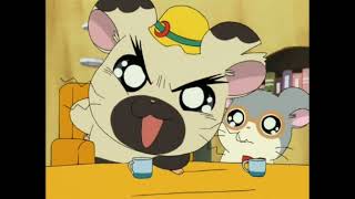 1 second of every episode of Hamtaro English dub [upl. by Enelak]