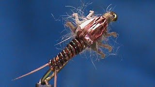 Beginner Fly Tying a Lively Legz Stonefly with Jim Misiura [upl. by Hertz]