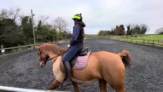 DO  GRS Dec  Bex Kelly amp Future Inferno  Prelim 12  The Half Passables [upl. by Helfand]