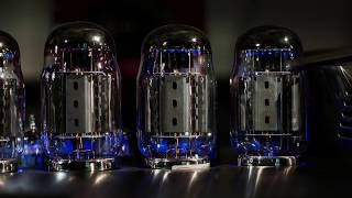 MARGULES Macotela Integrated Amplifier [upl. by Eerhs]