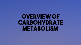 Overview of Carbohydrate Metabolismcarbohydratemetabolism carbohydrates biochemistry metabolism [upl. by Aral]