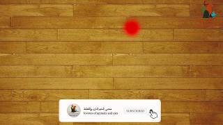 لعبة الليزر للقطط العاب للقطط CAT GAMES  LASER CHASER FOR CATS [upl. by Younglove]