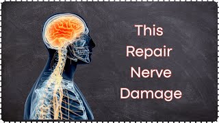 How to Repair Nerve Damage Naturally [upl. by Weintrob32]