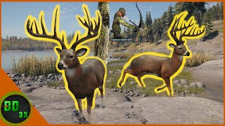 The Legendary Diamond Whitetail LAKE Call Of The Wild [upl. by Zabrina713]