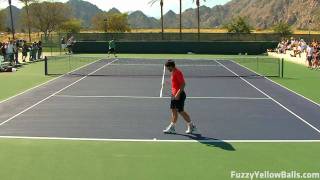 Janko Tipsarevic hitting in High Definition [upl. by Htebasil]