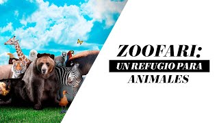 Zoofari un refugio para los animales del zoológico  Martha Debayle [upl. by Tresa355]