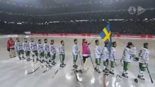 Hammarby  Sandviken 94  SMFinal 2013  HD [upl. by Lehcim722]