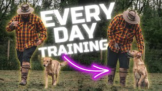 3 Dog Training Tips You Should Do Every Day With Your Dog [upl. by Drawd141]