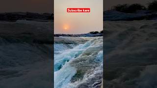 Ganges River Dolphin return amazingfacts news interestingfacts gk upsc motivation shorts [upl. by Dnyletak]