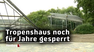 Wiedereröffnung für 2029 geplant Sanierungspläne für das Tropenhaus in Planten und Blomen [upl. by Mellette]