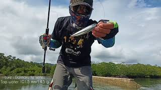 Shimano Nexave 2500HG Baracuda tanggul kavetan [upl. by Ayekam]