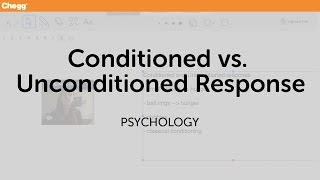 Conditioned and Unconditioned Responses  Psychology  Chegg Tutors [upl. by Grete]