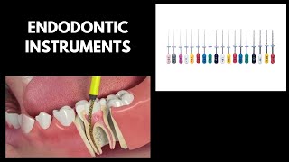 Endodontic Instruments  BDS endodontics [upl. by Ermanno]