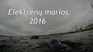 Nardymas Elektrėnų mariose 2016 m [upl. by Cutcheon]