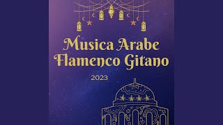 Música Árabe Flamenco Gitano [upl. by Lyrahs713]