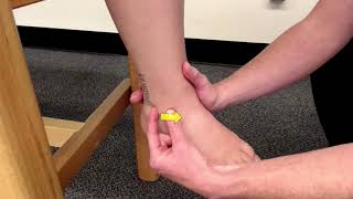 Distal Tibiofibular Joint Play Whitworth Athletic Training [upl. by Kevan836]