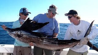 Incredible Florida Sailfish Fishing  Double Digit Day [upl. by Ovid]