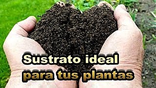 Como preparar un buen sustrato para plantas  Como preparar la tierra [upl. by Ilyk289]