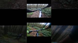 BARRY SIDINGS barrysidings steeptech mtb emtb downhillmtb gopro [upl. by Kotta]